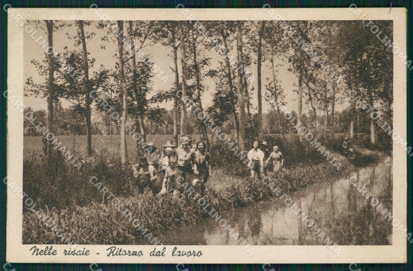 Vercelli Lomellina Risaie Mondine cartolina QT1075 – fronte
