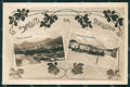 Belluno città Saluti da cartolina QT1113 – fronte