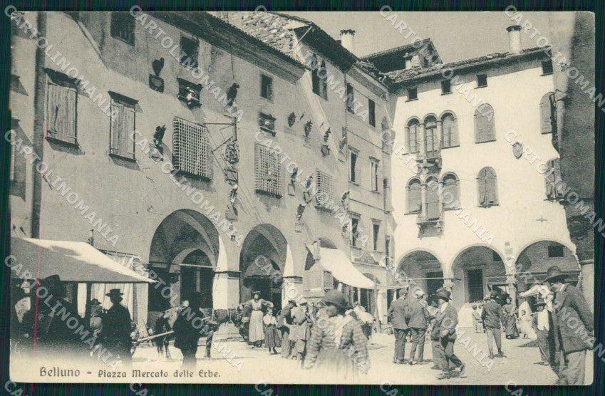 Belluno città Mercato cartolina QT1132 – fronte