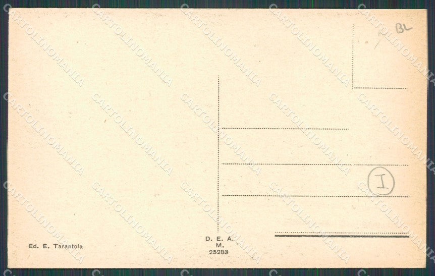 Belluno Visome cartolina QT1138 – retro