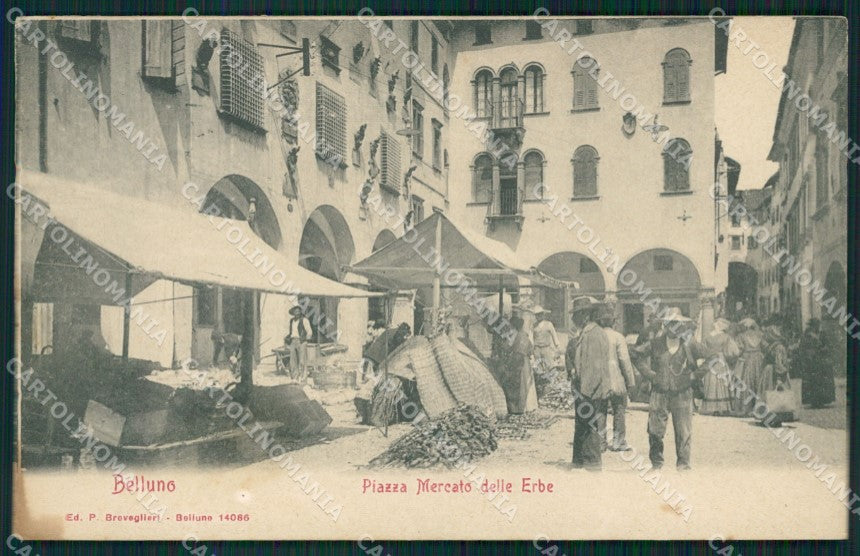 Belluno città Mercato cartolina QT1152 – fronte