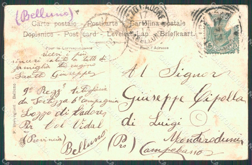 Belluno Vigo di Cadore Laggio di cartolina QT1160 – retro