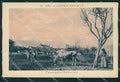 Belluno Paesaggio Cadorino Mucche cartolina QT1164 – fronte