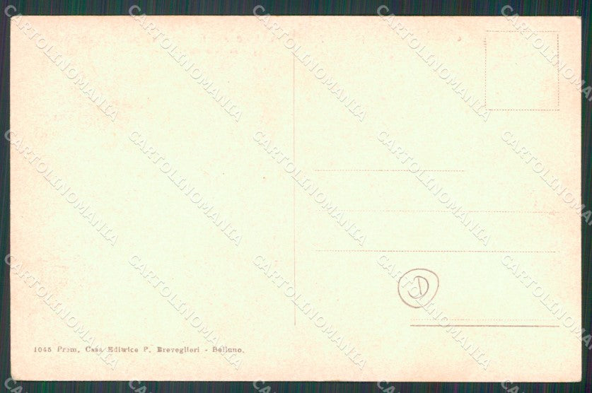 Belluno Pieve di Cadore Borgata Romita Monte Dubiea cartolina QT1183 – retro