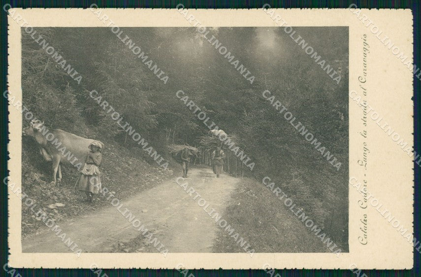 Belluno Calalzo di Cadore Mucca cartolina QT1188 – fronte