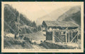 Belluno Calalzo di Cadore Mucche cartolina QT1197 – fronte