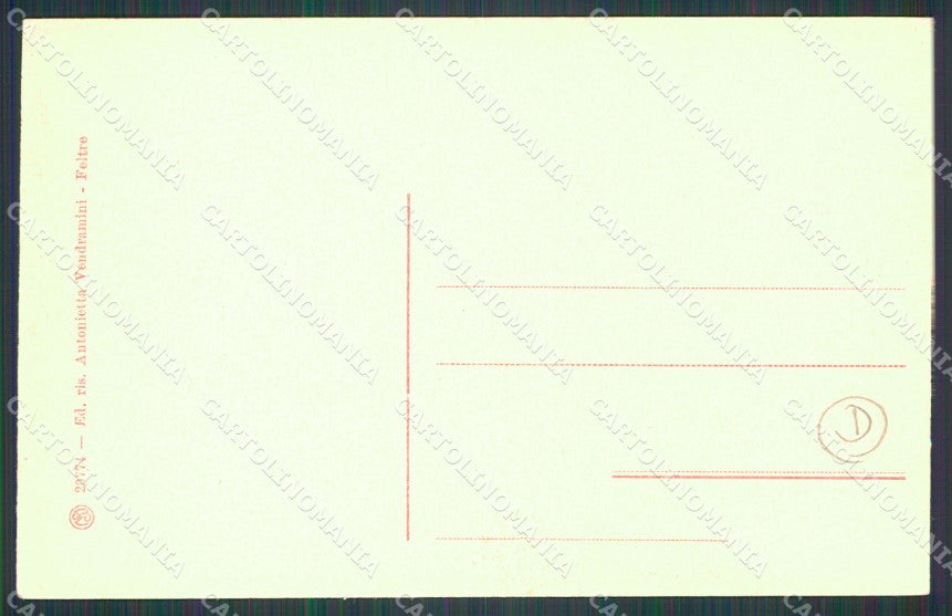 Belluno Feltre Campogiorgio cartolina QT1255 – retro