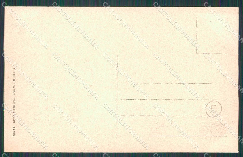 Belluno Feltre cartolina QT1261 – retro