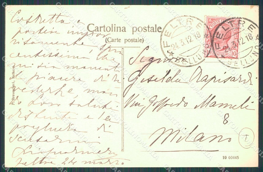 Belluno Feltre Campogiorgio Mercato Bovino cartolina QT1284 – retro