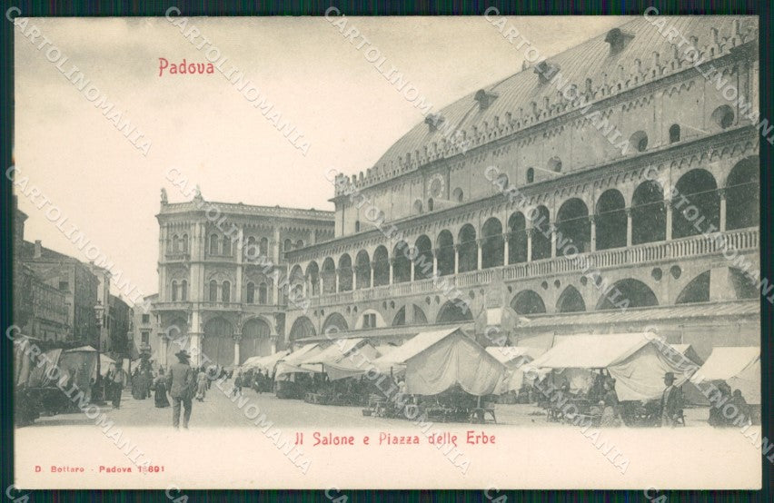 Padova Città Mercato cartolina QT1364 – fronte