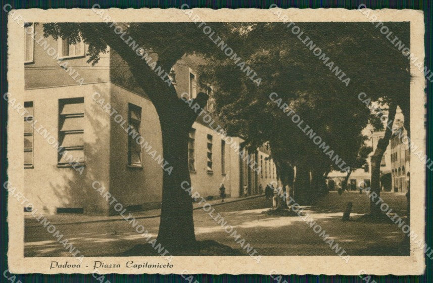 Padova Città PIEGHINE cartolina QT1398 – fronte