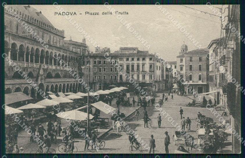 Padova Città Mercato cartolina QT1438 – fronte