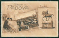 Padova Città Saluti da PIEGHINA cartolina QT1453 – fronte