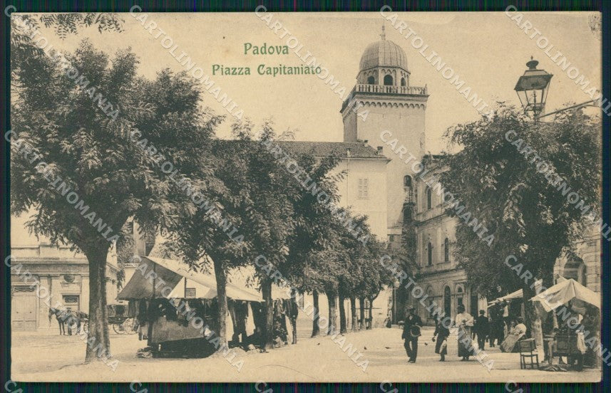 Padova Città Mercato cartolina QT1555 – fronte