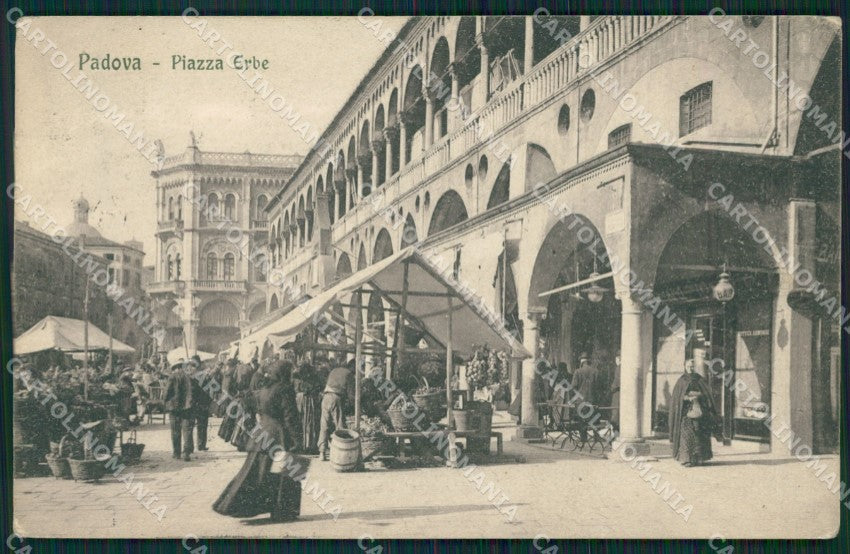 Padova Città Mercato cartolina QT1561 – fronte