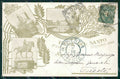 Padova Città Festa del Santo 1899 cartolina QT1582 – fronte