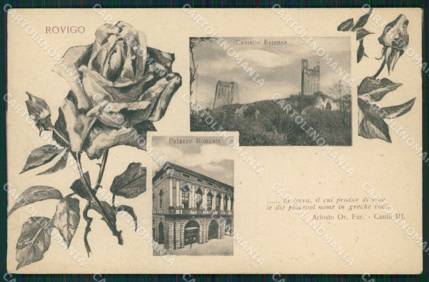 Rovigo Città Ariosto cartolina QT1783 – fronte