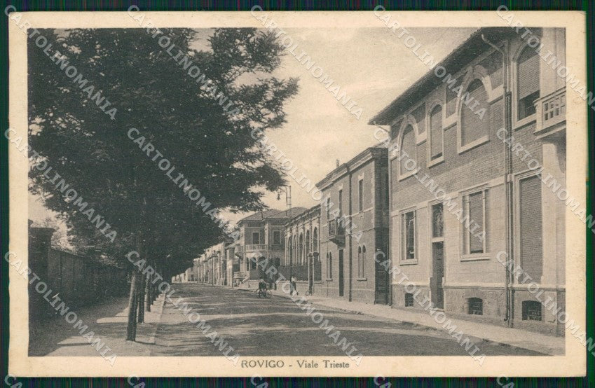 Rovigo Città cartolina QT1785 – fronte