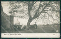 Roma Città Quercia del Tasso NPG Foto cartolina QT1834 – fronte