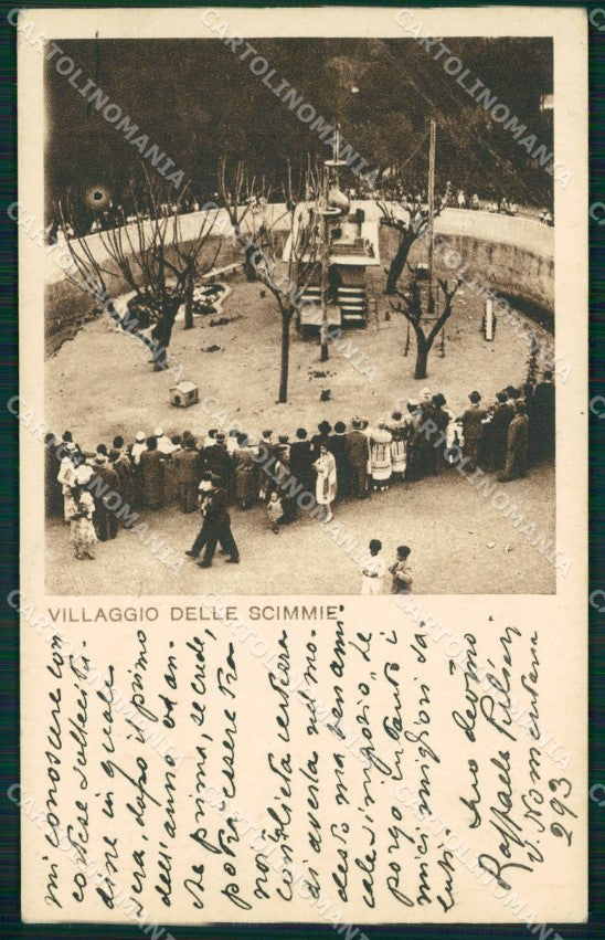 Roma Città Zoo PIEGA cartolina QT1899 – fronte