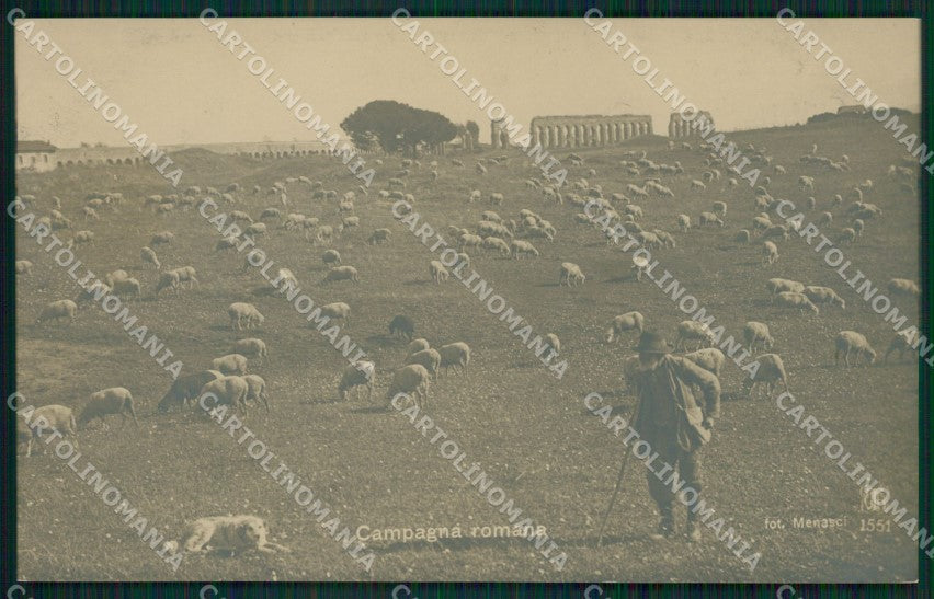 Roma Città Campagna Romana Gregge Alterocca 1551 Foto cartolina QT1992 – fronte