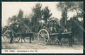 Roma Città Carrettiere di Vino Costumi NPG Foto cartolina QT2051 – fronte