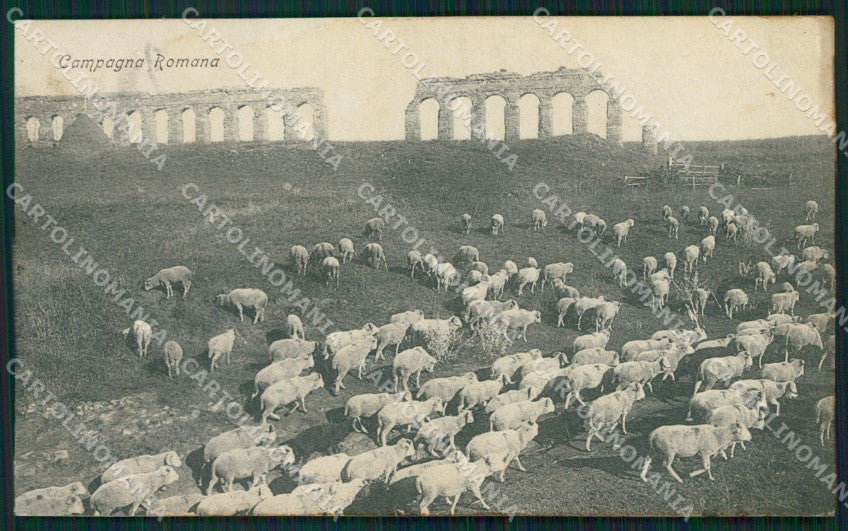 Roma Città Campagna Romana cartolina QT2246 – fronte