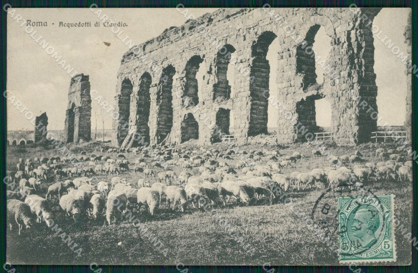 Roma Città Acquedotto di Claudio Pecore Gregge cartolina QT2247 – fronte