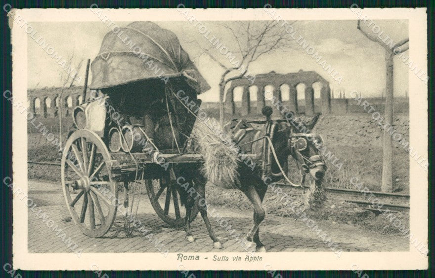 Roma Città Via Appia Carro da Vino Costumi cartolina QT2261 – fronte