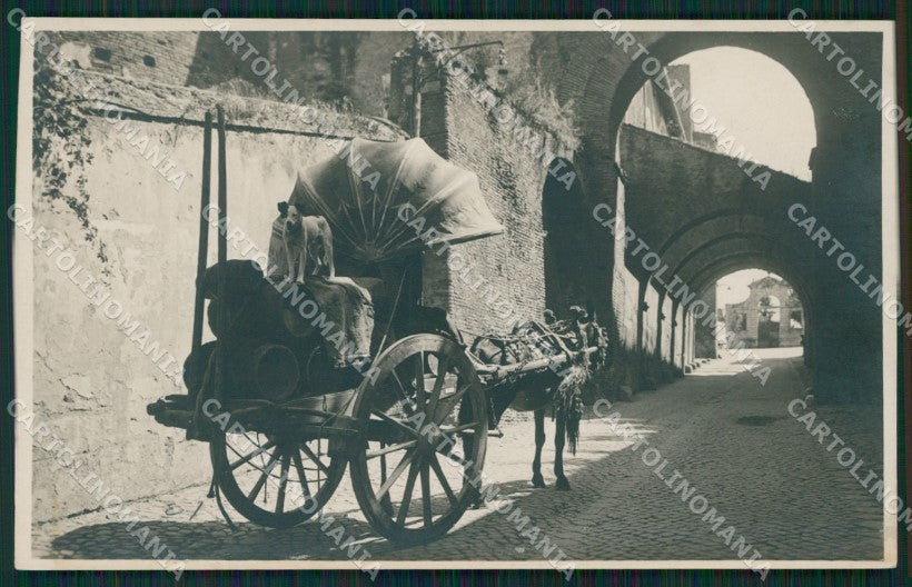 Roma Città Costumi Carro da Vino Foto cartolina QT2293 – fronte