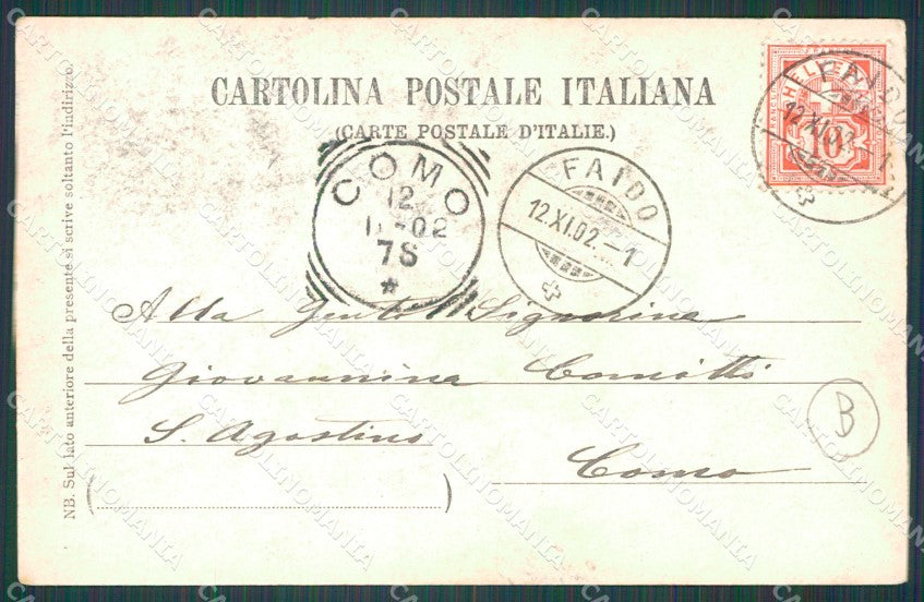 Roma Città Campagna Romana Buoi Foto cartolina QT2298 – retro