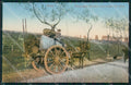 Roma Città Costumi Carro da Vino cartolina QT2305 – fronte