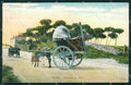 Roma Città Costumi Carro da Vino cartolina QT2306 – fronte