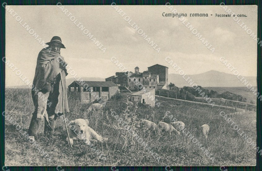 Roma Città Campagna Romana Pastore Pecore Cane PIEGHINA cartolina QT2316 – fronte