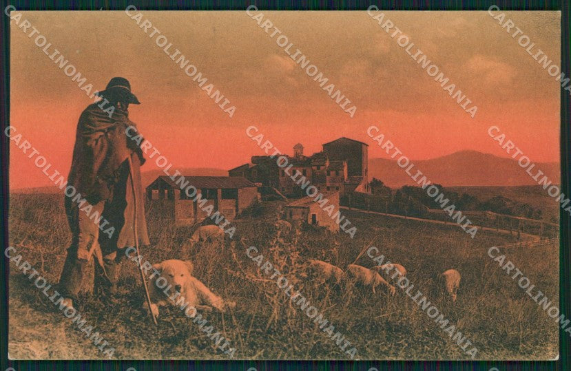 Roma Città Campagna Romana Pastore Pecore Cane cartolina QT2327 – fronte