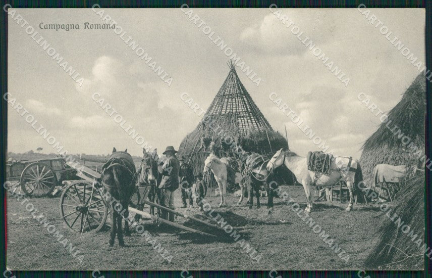 Roma Città Campagna Romana Cavalli cartolina QT2329 – fronte