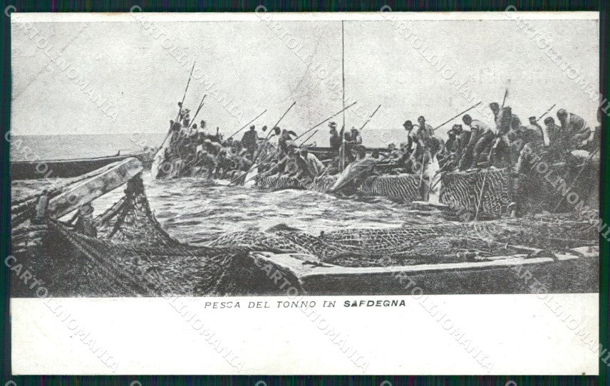 Sassari Alghero Isola Piana Pesca del Tonno cartolina QT2406 – fronte