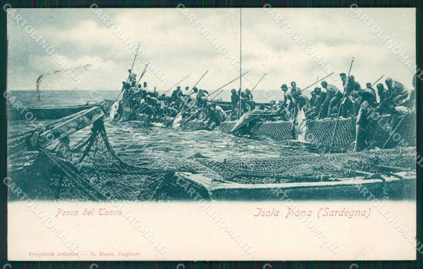Sassari Alghero Isola Piana Pesca del Tonno cartolina QT2407 – fronte