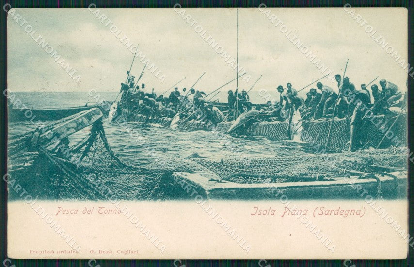 Sassari Alghero Isola Piana Pesca del Tonno cartolina QT2408 – fronte