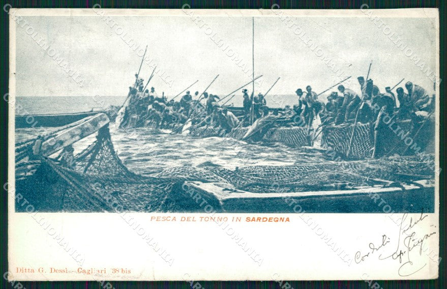 Sassari Alghero Isola Piana Pesca del Tonno STRAPPINO cartolina QT2409 – fronte