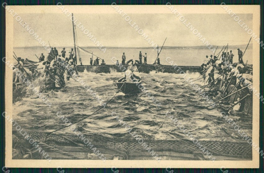 Sassari Portotorres Pesca del Tonno cartolina QT2414 – fronte