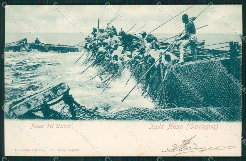 Sassari Alghero Isola Piana Pesca del Tonno PIEGA cartolina QT2415 – fronte