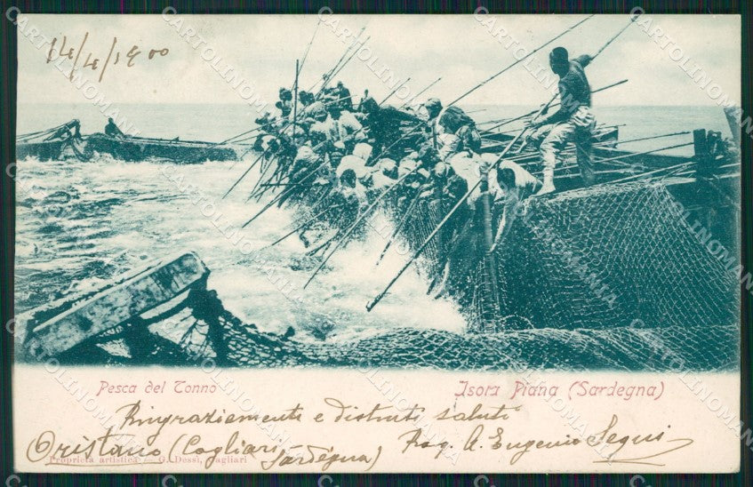 Sassari Alghero Isola Piana Pesca del Tonno SCOLLATA cartolina QT2416 – fronte