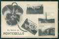 Vicenza Montebello Saluti da cartolina QT2631 – fronte