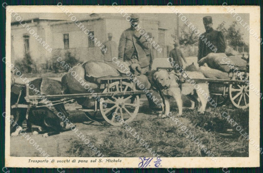 Gorizia Monte San Michele Trasporto Pane Cane cartolina QT2995 – fronte