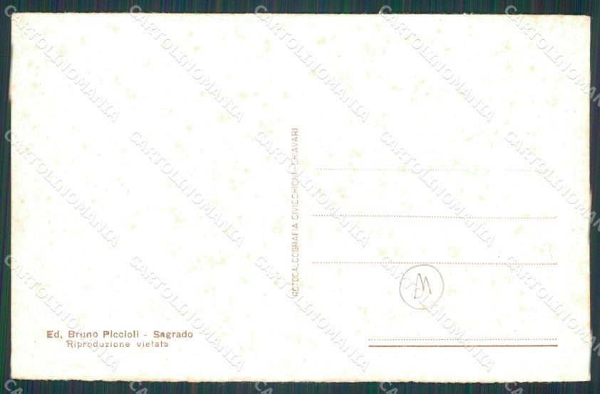 Gorizia Monte San Michele Trasporto Pane Cane cartolina QT2995 – retro