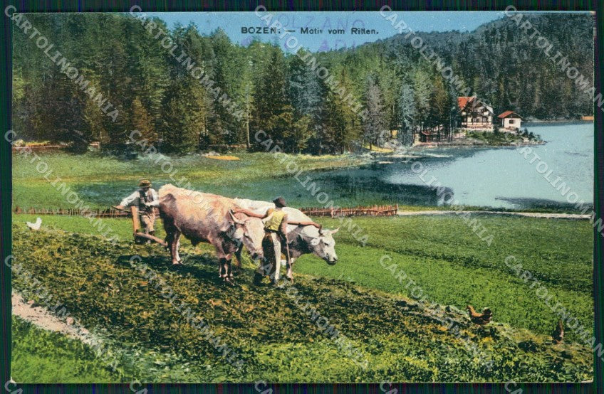 Bolzano Renon Buoi Aratura cartolina QT3156 – fronte