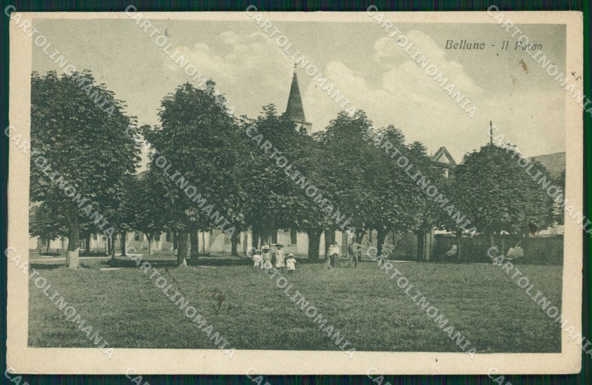 Belluno Città PIEGHINE cartolina QT3690 – fronte