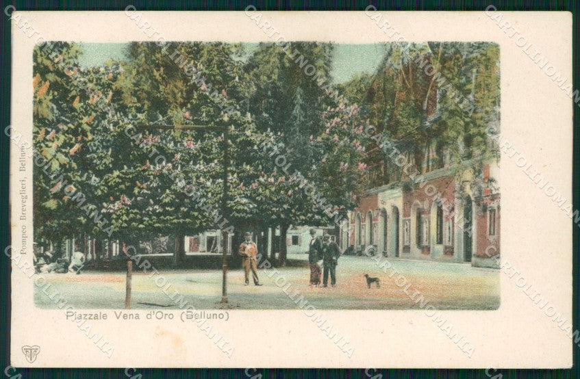 Belluno Città STRAPPINO cartolina QT3698 – fronte