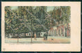Belluno Città PIEGHINA cartolina QT3703 – fronte